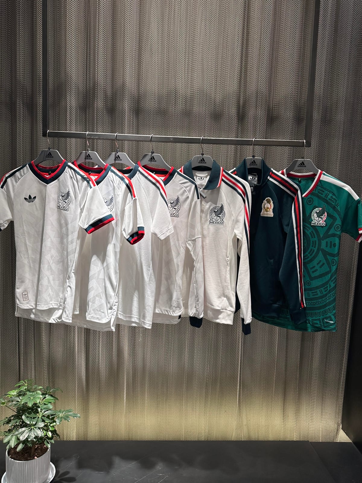 Fan apparel display